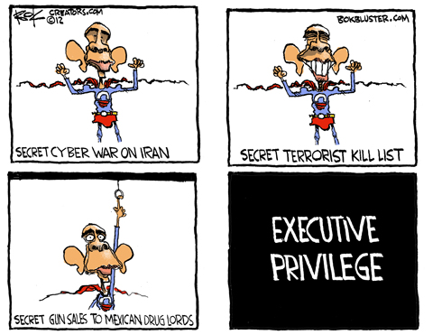  funny Obama cartoon by political cartoonist Chip Bok about executive privilege