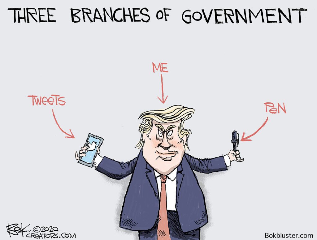 snatching power, trump, pen and tweets, three branches of government