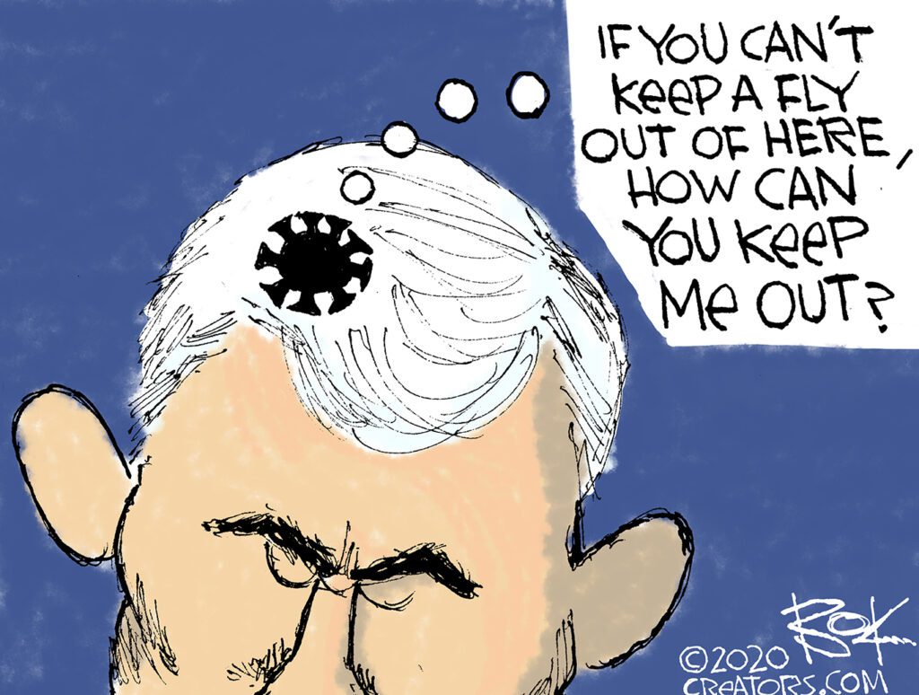 vice presidential debate, mike pence, fly